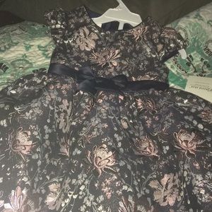 NWT Bobbie Baby Fall/Christmas Dress
